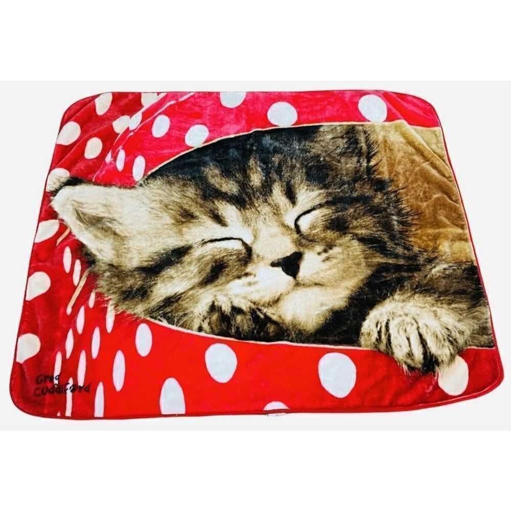Greg Cuddiford Plush Blanket Kitten Polka Dot Box Northwest 50 x 60 Cat Kawaii